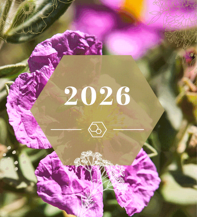 Mousse nettoyante et rosée du maquis